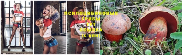 не бодяженный Магас