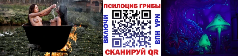 Псилоцибиновые грибы мицелий  Пойковский 