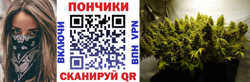 Конопля планчик Пойковский